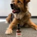 RESTART PET CBD * Austin Texas