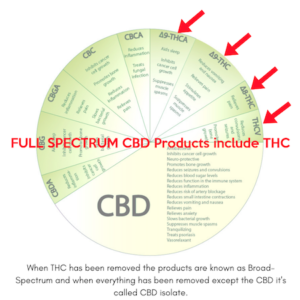 Full Spectrum CBD Oil vs. Isolate ...cheefbotanicals.com