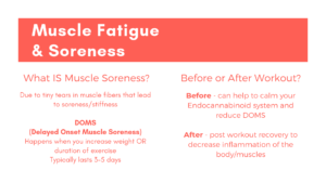 Muscle Fatigue and Soreness - CBD For Athletic Recovery - RESTART CBD