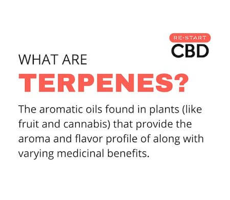 Restart CBD & Terpenes: 101