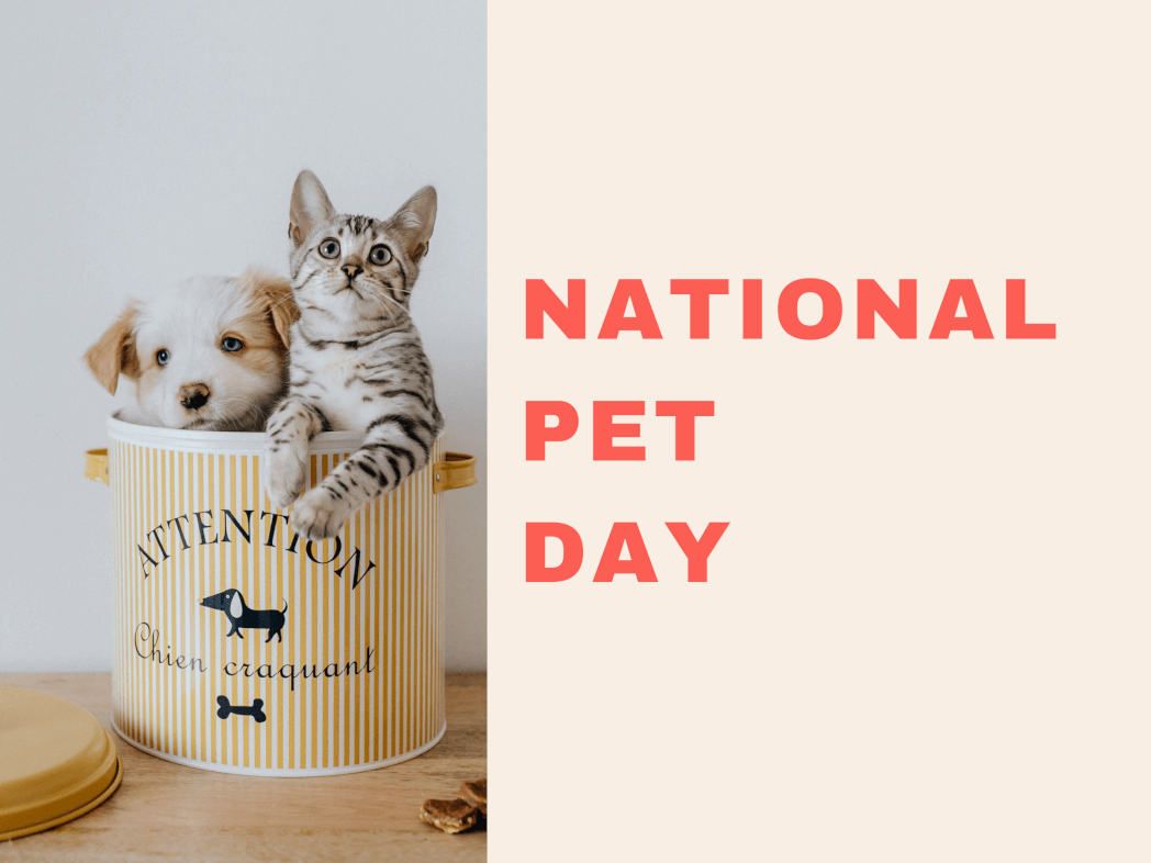 National Pet Day - RESTART CBD & THC