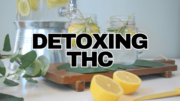 Detox Drinks for THC: Recipes and Tips - RESTART CBD & THC