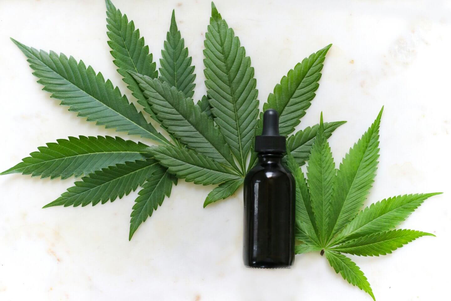 Why Broad Spectrum CBD is Becoming So Popular? RESTART