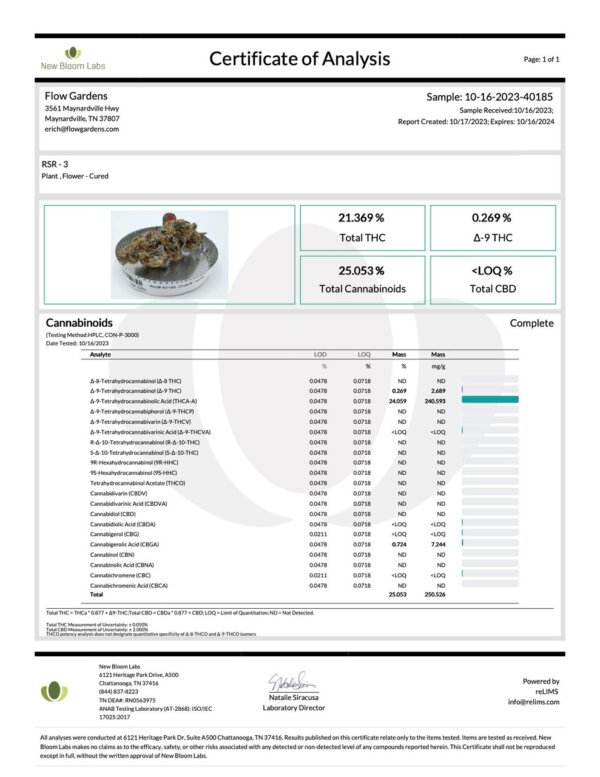 THCA Flower Rain Shadow Runtz - Premium Hybrid - Image 3