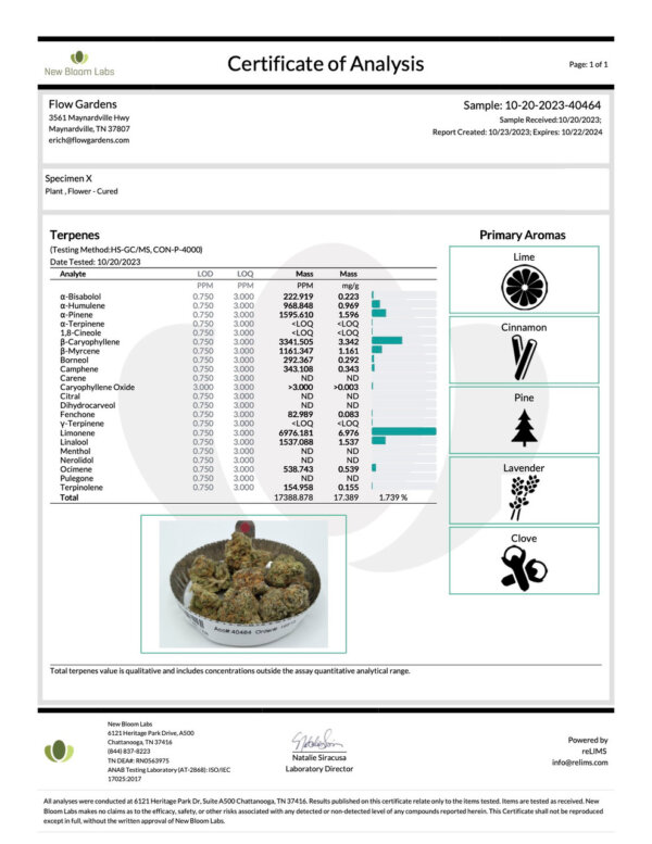 THCA Flower Specimen x - Premium Indica - Image 4