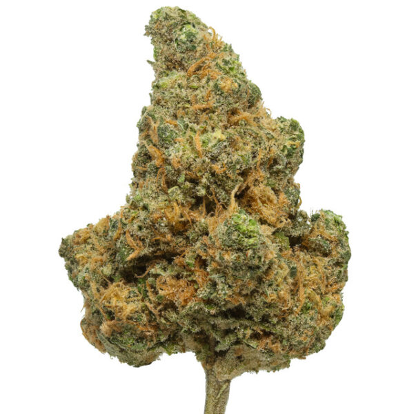 THCA Flower Blue Dream - Premium Sativa/H - Image 2