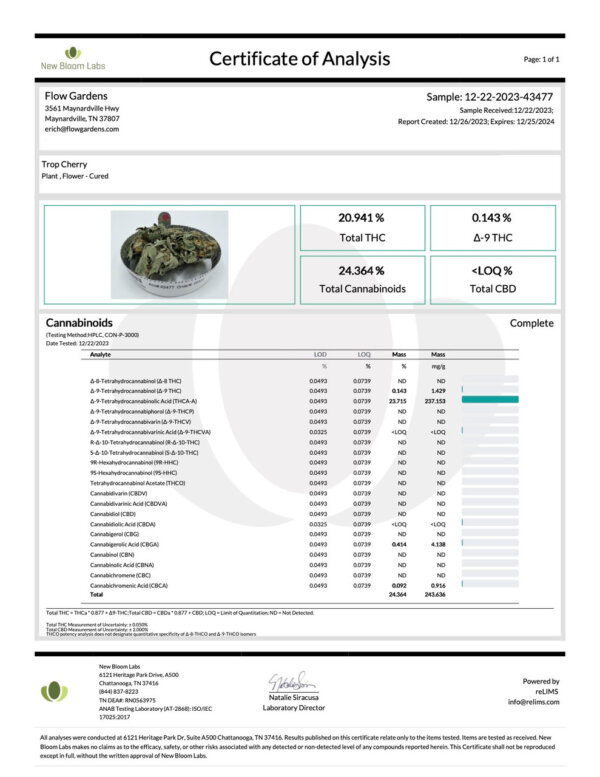 THCA Flower Tropicana Cherry - Premium Sativa - Image 3