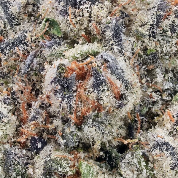 THCA Flower Green Crack Exotic Flower Sativa - Image 2