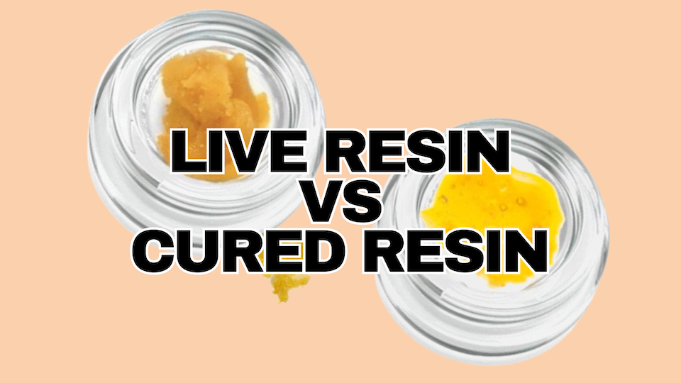 LIVE RESIN VS CURED RESIN RESTART CBD AND THC