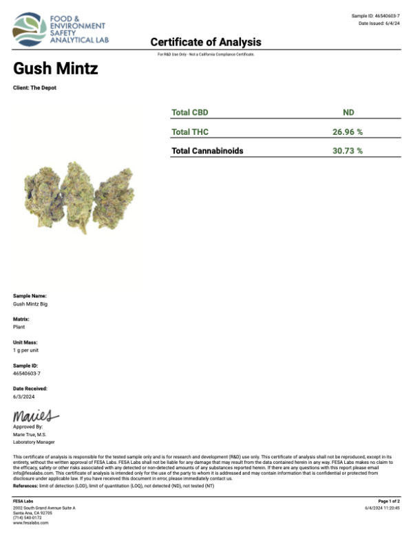 THCA Flower Gush Mintz - Premium Indica/H - Image 2