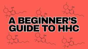 A bold graphic with a red background featuring the text "A Beginner’s Guide to HHC" in large, black and white block letters, accompanied by chemical structures of HHC (hexahydrocannabinol).