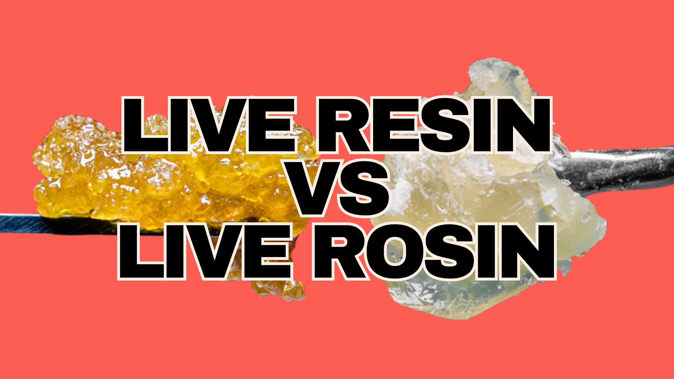 live resin vs live rosin key differences and which one to choose - RESTART CBD